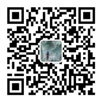 LYD-N1260视频控制器  二合一视频控制器