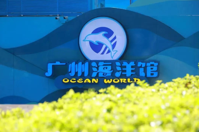 标杆案例 ：20000㎡广州海洋馆焕新归来，利亚德励丰文化助力打造文旅新地标